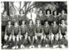 sport1strugby_small.jpg